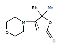2(5H)-furanone,5-ethyl-5-methyl-4-(4-morpholinyl)-(9ci)Structure,760191-41-1Structure 2(5H)-furanone,5-ethyl-5-methyl-4-(4-morpholinyl)-(9ci) Structure,760191-41-1Structure