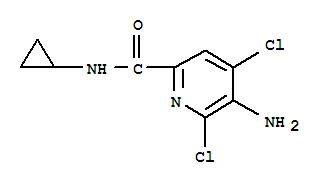 2-Pyridinecarboxamide,5-amino-4,6-dichloro-n-cyclopropyl-(9ci) Structure,784143-94-8Structure