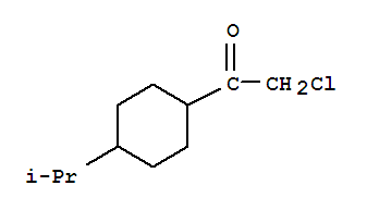 Ethanone, 2-chloro-1-[4-(1-methylethyl)cyclohexyl]-(9ci) Structure,84855-74-3Structure