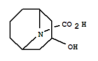 9-Azabicyclo[3.3.1]nonane-9-carboxylic acid,3-hydroxy- Structure,854733-35-0Structure