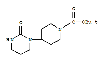 Tert-butyl 4-(2-oxotetrahydropyrimidin-1(2h)-yl)piperidine-1-carboxylate Structure,902133-66-8Structure