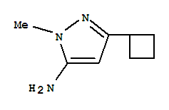 5-Cyclobutyl-2-methyl-2h-pyrazol-3-ylamine Structure,92406-41-2Structure