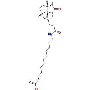 N-biotinyl-12-aminododecanoic acid Structure,135447-73-3Structure