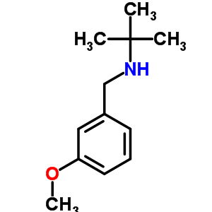 N-(3-methoxybenzyl)-2-methyl-2-propanamine Structure,207349-84-6Structure