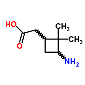 Cyclobutaneacetic acid,3-amino-2,2-dimethyl- Structure,2302-79-6Structure