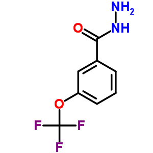 3-(Trifluoromethoxy)benzhydrazide Structure,321195-88-4Structure