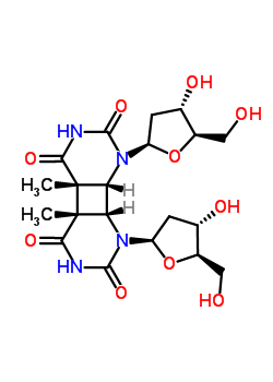 Cyclobutyldithymidine dimers Structure,33407-74-8Structure