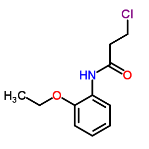 3-Chloro-n-(2-ethoxyphenyl)propanamide Structure,334504-88-0Structure