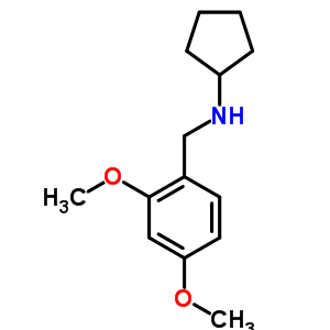 Cyclopentyl-(2,4-dimethoxy-benzyl)-amine Structure,356092-74-5Structure