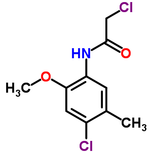 2-Chloro-n-(4-chloro-2-methoxy-5-methyl-phenyl)-acetamide Structure,379255-21-7Structure