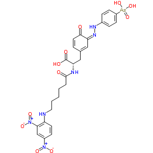 (2S)-3-[(3Z)-3-[(4-砷苯基)亞肼基]-4-氧代-1-環(huán)己-1,5-二烯基]-2-[6-[(2,4-二硝基苯基)氨基]己酰氨基]丙酸結(jié)構(gòu)式_38337-12-1結(jié)構(gòu)式