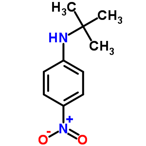 N-tert-butyl-4-nitroaniline Structure,4138-38-9Structure