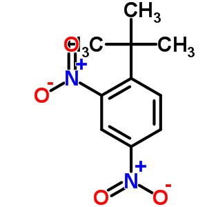 1-叔丁基-2,4-二硝基苯結(jié)構(gòu)式_4160-54-7結(jié)構(gòu)式