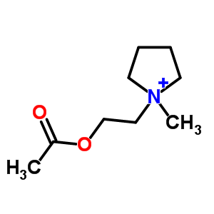 Acetylpyrrolidinecholine Structure,54377-96-7Structure