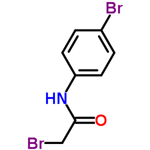 2-Bromo-n-(4-bromophenyl)acetamide Structure,5439-13-4Structure