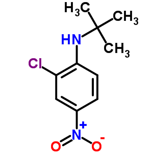 Benzenamine,2-chloro-n-(1,1-dimethylethyl)-4-nitro- Structure,6085-52-5Structure