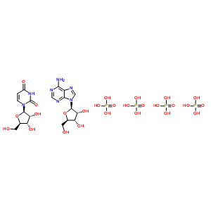 Adenosine triphosphate-uridine monophosphate Structure,61070-25-5Structure