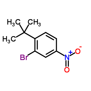 1-(Tert-butyl)-2-bromo-4-nitrobenzene Structure,6310-17-4Structure