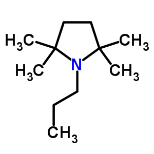 1-Propyl-2,2,5,5-tetramethylpyrrolidine Structure,63886-59-9Structure