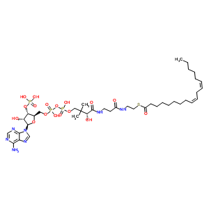 Linoleoyl coenzyme a Structure,6709-57-5Structure