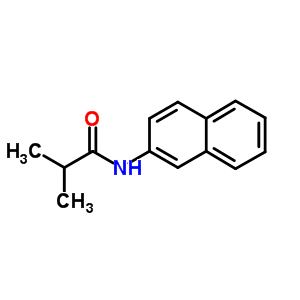 N-naphthalen-2-yl-isobutyramide Structure,71182-40-6Structure