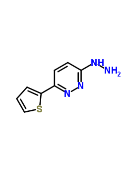 1-(6-(噻吩-2-基)吡嗪-3-基)肼結(jié)構(gòu)式_75792-87-9結(jié)構(gòu)式