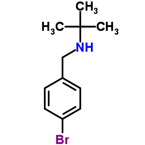 N-(4-bromobenzyl)-2-methylpropan-2-amine Structure,87384-76-7Structure