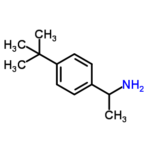 1-(4-叔丁基苯基)乙胺結(jié)構(gòu)式_89538-65-8結(jié)構(gòu)式