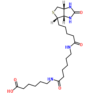 6-((6-((生物素基)氨基)己?；?氨基)己酸結(jié)構(gòu)式_89889-51-0結(jié)構(gòu)式