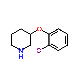 3-(2-Chlorophenoxy)piperidine Structure,902837-29-0Structure