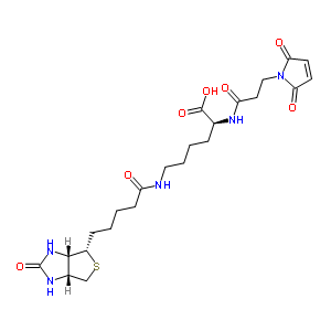 3-(N-maleimidopropionyl)biocytin Structure,98930-71-3Structure